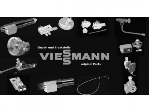 Viessmann Bimetall-Zeigerthermometer D=63 20-100°C 9507542
