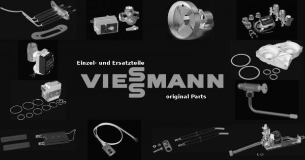 VIESSMANN 7839345 Sicherung T10A (5 Stück)