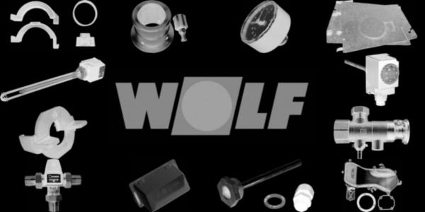 WOLF 8883074 Fronttür komplett