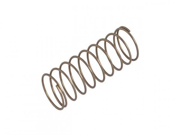 Druckfeder für Rückschlagventil, DN50, 2"