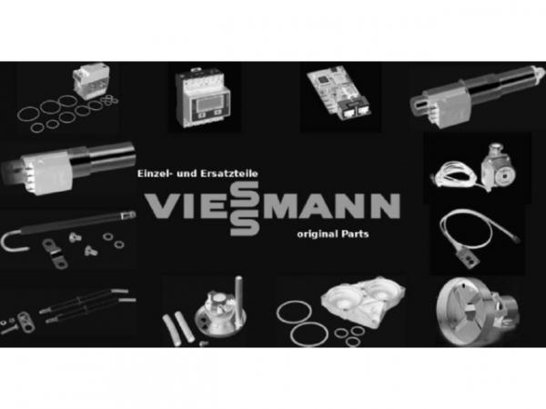 Viessmann Düse 3,50 Gph 60° B Delavan 9517290