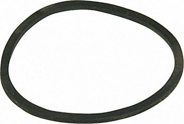 BRIGON Ersatzteil -CO2-Indikator Deckringdichtung Typ 8311