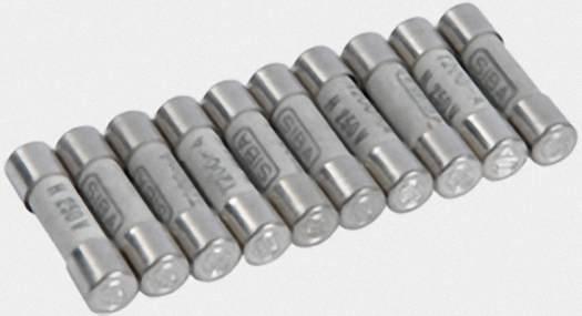 VIESSMANN 7404359 Sicherung T 0,2A 250V (10 Stück) (10 Stück)