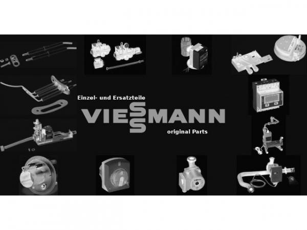 VIESSMANN Doppelsensor (Pt1000 NTC10k)