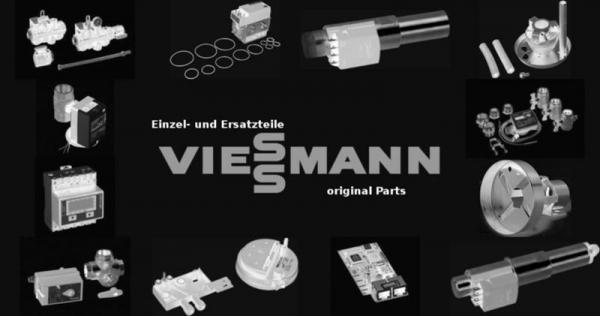 VIESSMANN 5329877 Ionisationselektrode