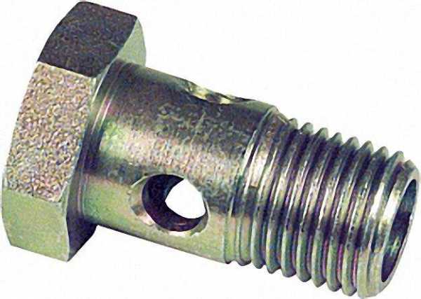Hohlschraube R 1/4''a. für Schlauch mit 14mm Ring