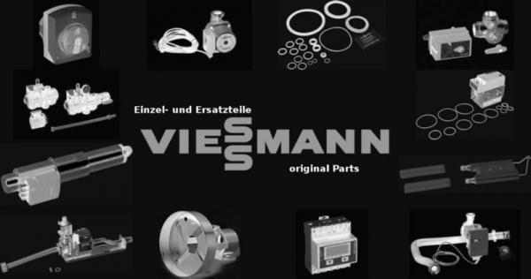 VIESSMANN 7239684 Beipack Federklammern (40 Stück)