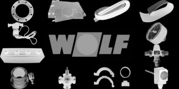 WOLF 2483217 Schürtüre komplett mit Dichtung ohneGriff