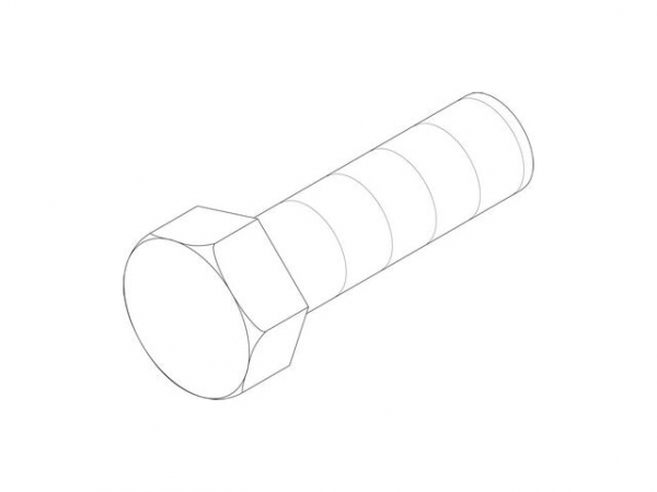 6kt-Schraube M12x20 (8x) everp