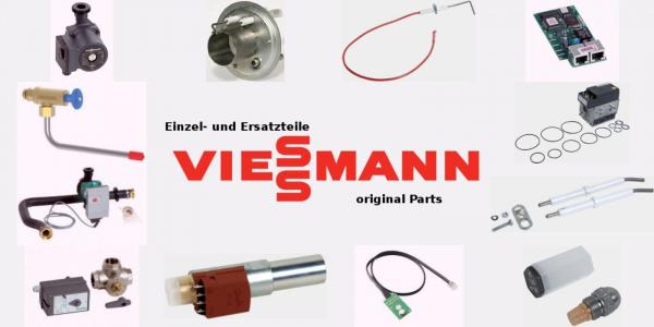 VIESSMANN 9564962 Vitoset Winkel 30 Grad, einwandig, Systemgröße 250mm