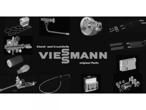 Viessmann Dichtring R 1/4 9593356