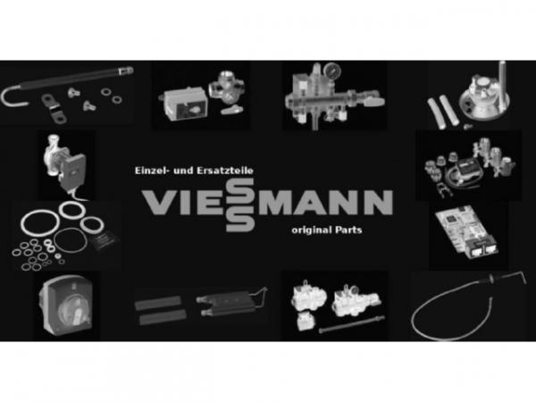 Viessmann Verschlusszapfen-Satz 7822893