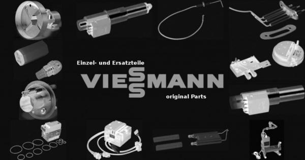 VIESSMANN 7813521 Ionisations-Messleitung