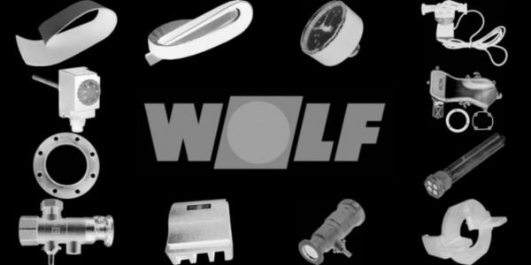 WOLF 2483499 Aschekasten BPH-15