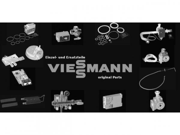 VIESSMANN Lecksuchspray