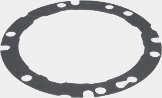 VIESSMANN 7817746 Flammkörperdichtung