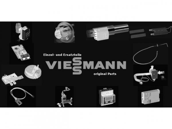 VIESSMANN 7856917 Revisionstür