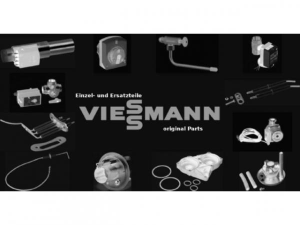 Viessmann Sicherung T 0,08A 250V (10 Stück) 7404355
