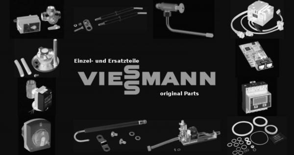 VIESSMANN 7823049 Leitung Ion/PE RA