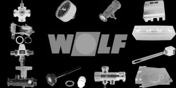 WOLF 2483417 Aschekasten BPH-10