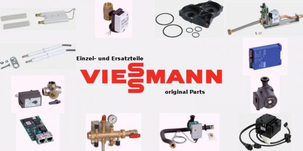 VIESSMANN 9565392 Vitoset Winkel 45 Grad, doppelwandig, Systemgröße 250mm