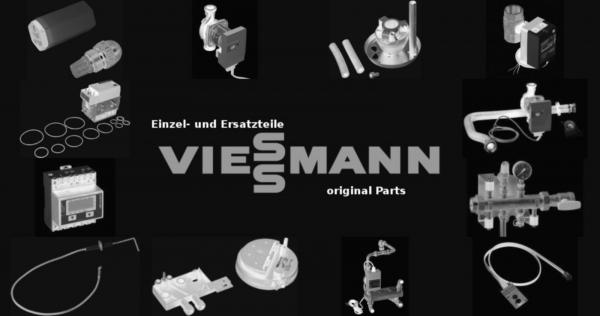 VIESSMANN 7820672 Schmierfett 20g