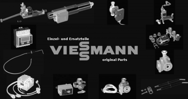 VIESSMANN 7818113 Schriftzug