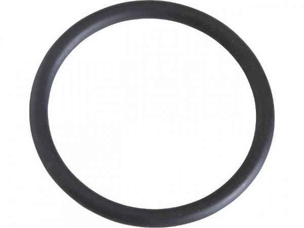 O-Ring für Flansche passend zu Minisit 710, Referenz-Nr.: 0.925.034