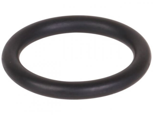 O-Ring 25,0 x 4,0 mm Gasarmatur/Gasanschlussrohr
