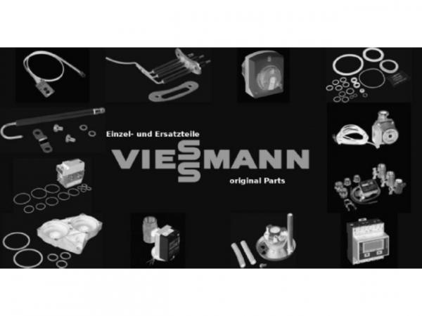 Viessmann Reinigungsset Vitoladens 300-W/333-F 7369540