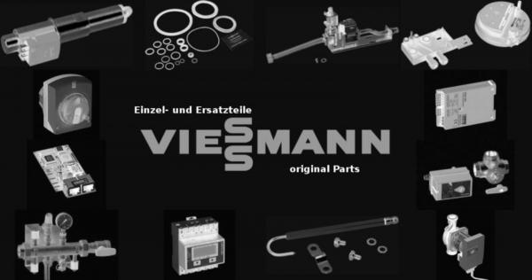 VIESSMANN 7815147 Reinigungsbürste D=33 x 100 - M10 mit Gewindemuffe M 10