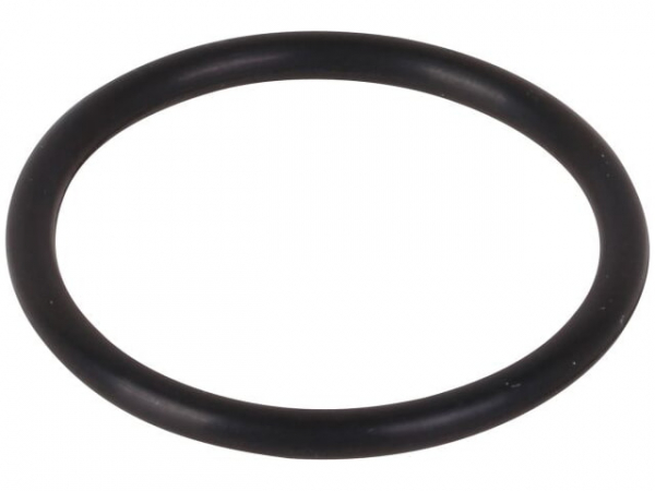 O-Ring 28,25 x 2,62 mm Kupplungsstück Abgassammler