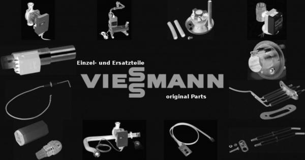 VIESSMANN 9584466 D-Sicherung 4A DO1 gL-gG