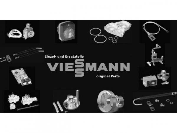 VIESSMANN 9587740 Mannlochverschluss OAB51 300x400