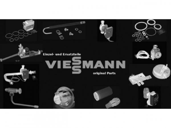 Viessmann Halbjährliche Wartung Vitoligno 300-C 7028878