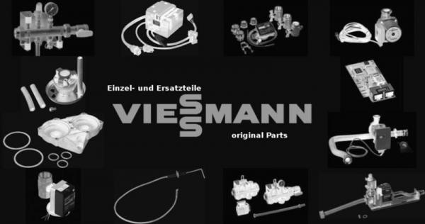 VIESSMANN 7820607 Passkerbstift Tür