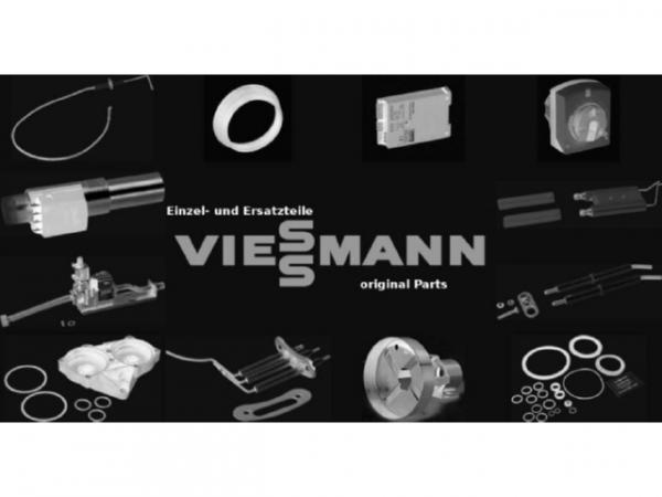 Viessmann Druckschlauch 7868402