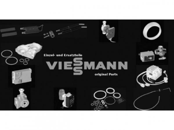 Viessmann Längenelement dw250 L=1000, mit EPDM 7635231