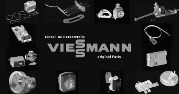 VIESSMANN 7830973 Giannoni Wärmetauscher