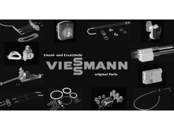 Viessmann Codierstecker 5093:C02 N10 F20.06 7877360