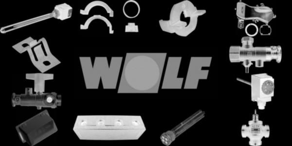 WOLF 2483975 Aschentür komplett