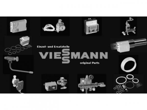 Viessmann Wirbulator 7859687