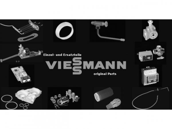 VIESSMANN Lamellenblech Mitte links CT3 170kW