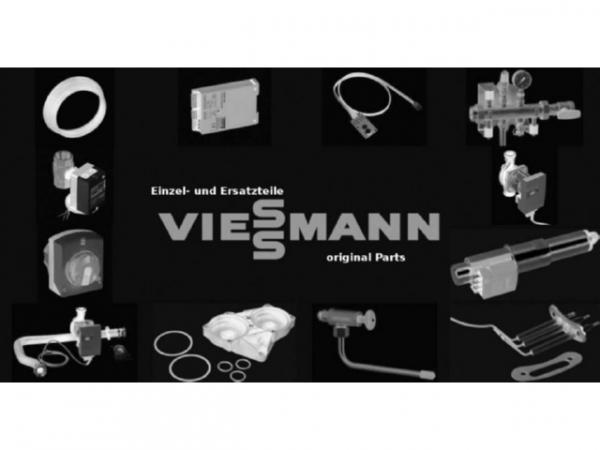 Viessmann Umwälzpumpe Stratos MAXO 100/0,5-6 PN6 7635562