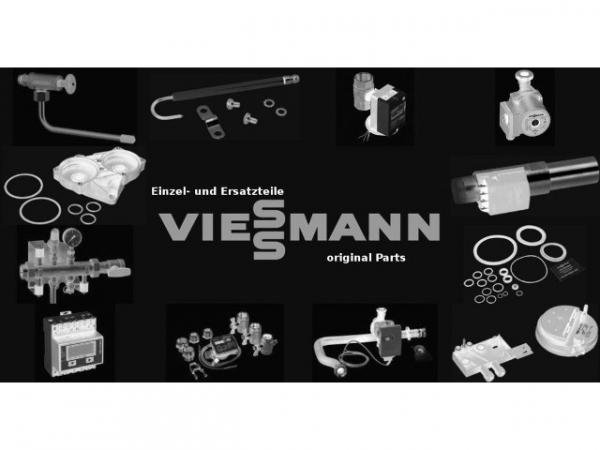 VIESSMANN Heizwasser-Durchlauferhitzer