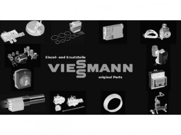 Viessmann Düse 0,85 Gph 45° S Steinen 9517216