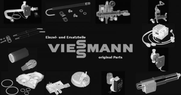 VIESSMANN 7828540 Aschetür