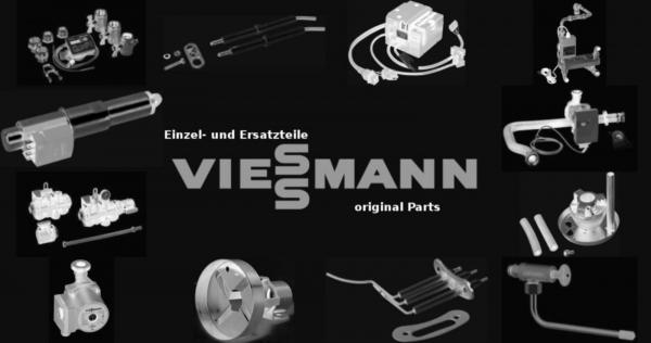 VIESSMANN 7830237 Revisionstür