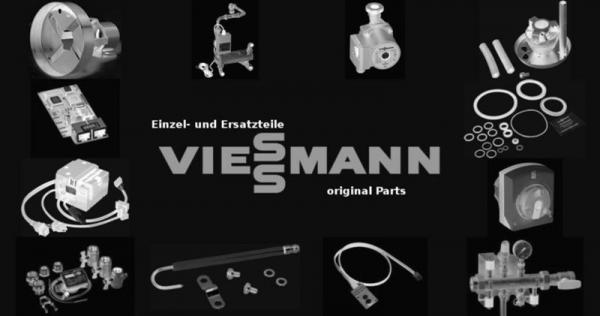 VIESSMANN 7212019 Beipack Schauglas