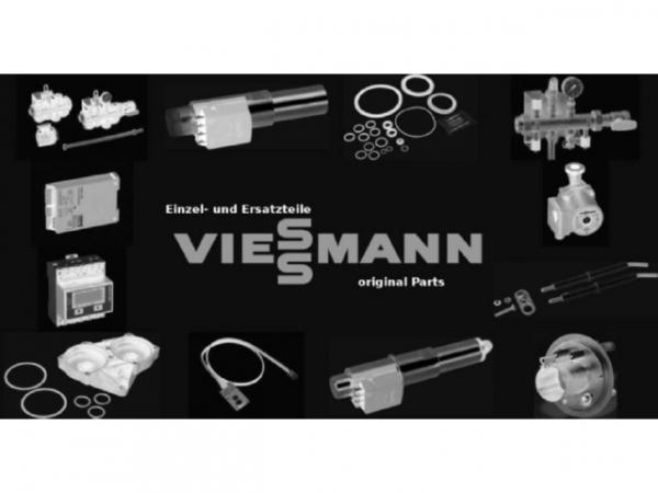 Viessmann Schlauch Rücklauf 7868685